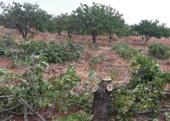 تقرير حقوقي: المزادات العلنية لأراضي المهجرين قسرياً أسلوب النظام للاستيلاء على ممتلكات معارضيه