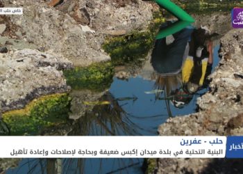 نشرة أخبار المنتصف 17 02 2021 Mid-Day Newscast