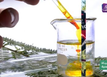 حياة صحية.. كورونا في الشمال السوري واحتمالية بدء الموجة الثانية