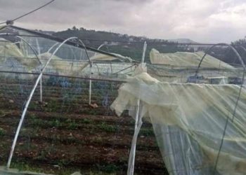 النظام ينفي وجود بند سري في صفقة التبادل مع إسرائيل