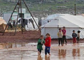 “وقف الديانة التركي” يؤكد مواصلة دعمه لـ 1500 طفل يتيم في شمال غرب سوريا