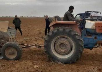 الرقة.. المحاصيل الزراعية تواجه خطر الموت عطشاً بسبب عدم توفر المياه