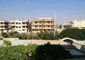 عمرها 9 سنوات.. رجل يقتل طفلته ضرباً في حماة (صورة)