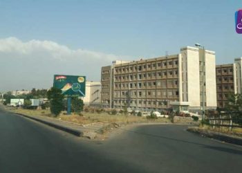 انتشار المخدرات بين طلاب جامعة البعث.. وحزب الله ينقل زراعة الحشيش من لبنان لريف حمص