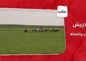 جولات: كدريش.. التنوع والأصالة