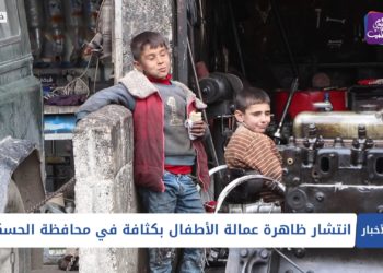 نشرة أخبار المنتصف 29 03 2021 Mid Day Newscast