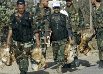 قوات النظام تفرج عن مجموعة من اللصوص في ريف دمشق