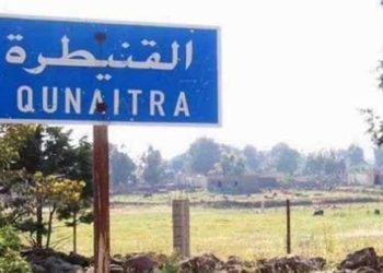 مقتل عناصر من قوات النظام في القنيطرة