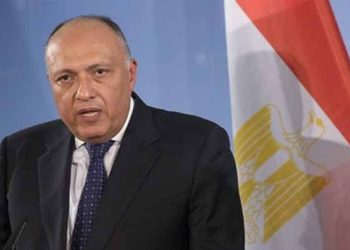 مصر تطلق تصريحات جديدة حول عودة النظام إلى الحاضنة العربية