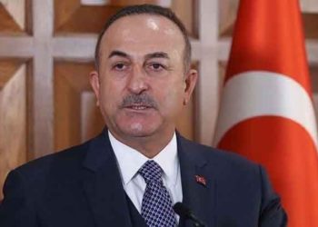 الخارجية التركية: نعمل لانعقاد جولة سادسة للجنة الدستورية السورية