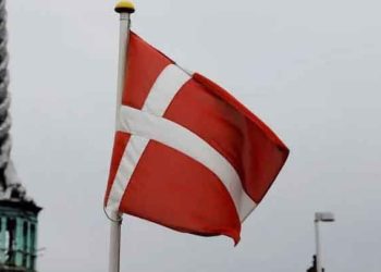 الدنمارك تعتزم استعادة 19 طفلاً من شمال شرق سوريا
