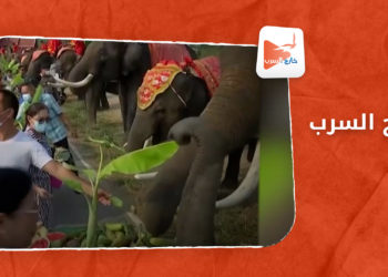 خارج السرب – لوحة فنية “رقمية” تُباع بنحو 70 مليون دولار