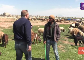 جولات – الزيادية.. وبازار الثلاثاء