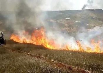 سيناريو متكرر..سلسلة حرائق الصيف تبدأ في دمشق وريفها