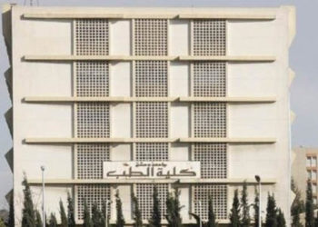 الكهرباء..أزمة جديدة تضاف لمعاناة السوريين في ريف دمشق