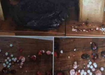 جريمة مروعة.. الأب يقتل زوجته وطفلتيه وينتحر في بلدة الزهراء بريف حلب