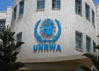 فلسطينيو سوريا في لبنان ينظمون وقفة احتجاجية ضد “أونروا”