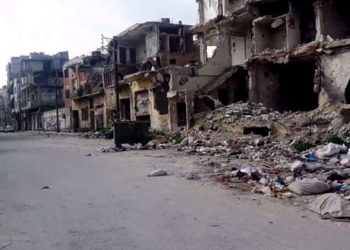 حمص.. الحشرات تغزو المدينة والأهالي يردون على التصريحات الرسمية (صور)