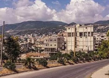 بأداة تقطيع الحطب.. شاب يقتل جده في حماة