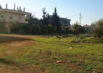 قوات النظام تداهم منازل وتعتقل عدداً من الشبان شمالي درعا