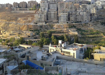 ريف دمشق.. ثلاثة أشقاء يقتلون شقيقتهم وأشاعوا أن السبب كورونا