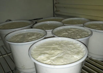 بسبب تكاليف النقل.. ارتفاع جديد بأسعار الألبان بدمشق وريفها