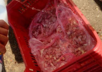 ريف دمشق.. انتشار تجارة “اللحوم الفاسدة” وسط غياب لرقابة حكومة النظام