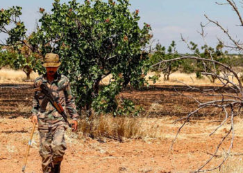 “هيومن رايتس ووتش”: نظام الأسد يستولي على أراضي المعارضين