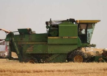 “الإدارة الذاتية” تحدد سعر شراء محصولي القمح والشعير في مناطق سيطرتها