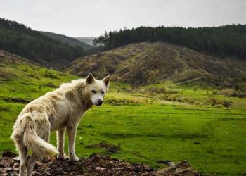 إسرائيل تستهدف مخزناً عسكرياً للنظام في القنيطرة