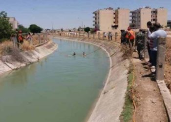 وصول حافلات إلى الهول لنقل عشرات العوائل إلى مخيم داخل العراق