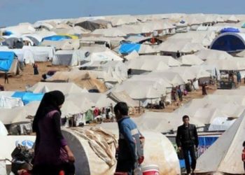 على رأسها النمر.. تعزيزات عسكرية للنظام إلى بادية الرقة