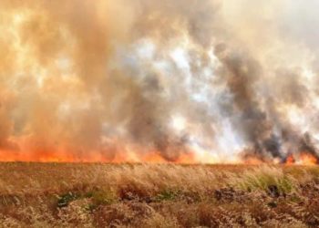 حرائق تكبد الأهالي خسائر كبيرة في ريف دمشق وغياب لدور الإطفاء