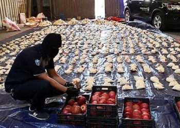 مقابل راتب شهري.. ميليشيا “لواء فاطميون” تفتتح باب الانتساب إلى صفوفها