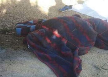 مقابل راتب شهري.. ميليشيا “لواء فاطميون” تفتتح باب الانتساب إلى صفوفها