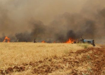 حرائق جديدة في ريف دمشق وخسائر كبيرة للمزارعين