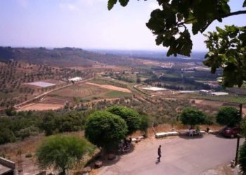 بسبب دراجة نارية.. مقتل شقيقين في طرطوس