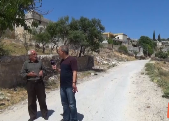 جولات: سنكرلي.. زيارة غريب وجب عيسى