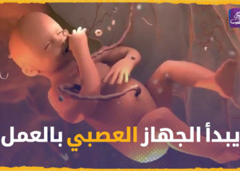 صباح صوري – 31 05 2021