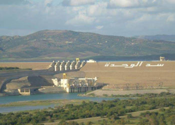 برصاص القوات الأردنية.. إصابة شاب يعمل بصيد الأسماك غربي درعا