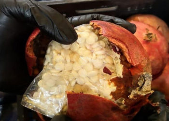 صحيفة بريطانية: الحظر السعودي يكشف عن حجم هائل لتجارة المخدرات في سوريا