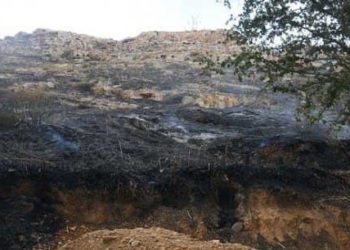 عمليات هدم تستهدف منازل مدنيين في ريف دمشق وتستثني متعهدي المقاولات