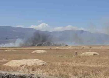 “الخطوط الجوية التركية” تعلن إلغاء اختبار “PCR” للقادمين إلى تركيا بشروط