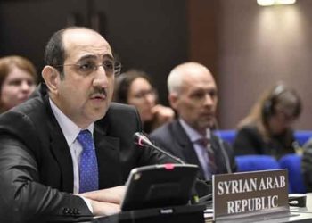 الأمم المتحدة تعين مندوب النظام في لجنة تصفية الاستعمار