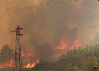 اندلاع حريق في القرداحة بريف اللاذقية