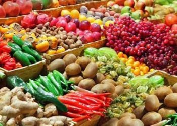 حكومة النظام تصدر يومياً 130 براداً من الخضار والفواكه