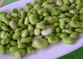 فشل مواسم زراعة “محاصيل المؤن” يتسبب بغلاء أسعارها في ريف دمشق