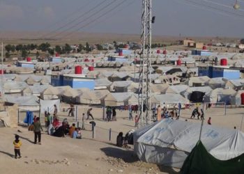 أخصائيون فرنسيون يطالبون الحكومة باستعادة أطفال “تنظيم الدولة” من سوريا