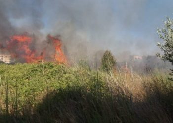 محافظة اللاذقية تسجل 8 حرائق في يوم واحد