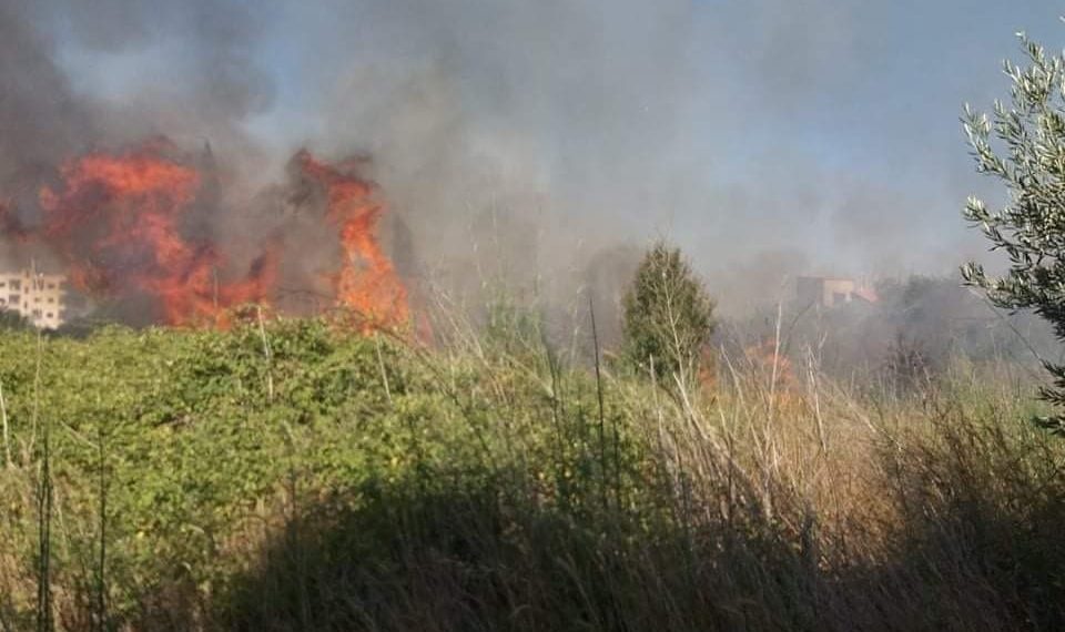 محافظة اللاذقية تسجل 8 حرائق في يوم واحد